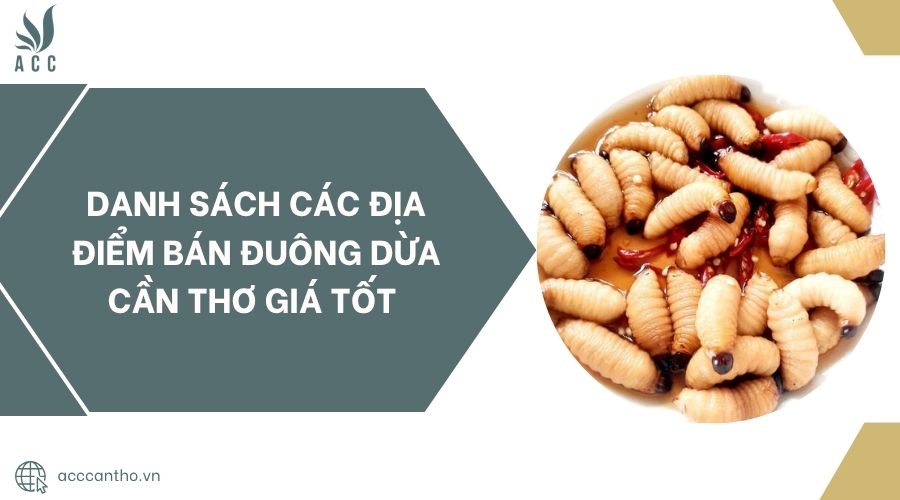 Danh sách các địa điểm bán đuông dừa Cần Thơ giá tốt.jpg