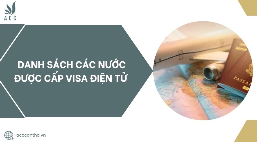 Danh sách các nước được cấp visa điện tử.jpg