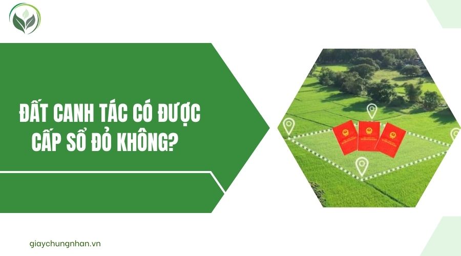 Đất canh tác có được cấp sổ đỏ không?.jpg