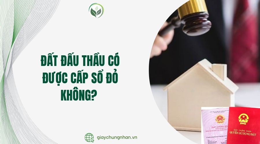 Đất đấu thầu có được cấp sổ đỏ không?.jpg