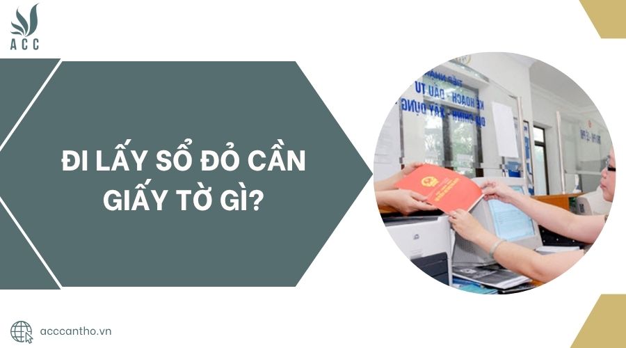Đi lấy sổ đỏ cần giấy tờ gì?.jpg