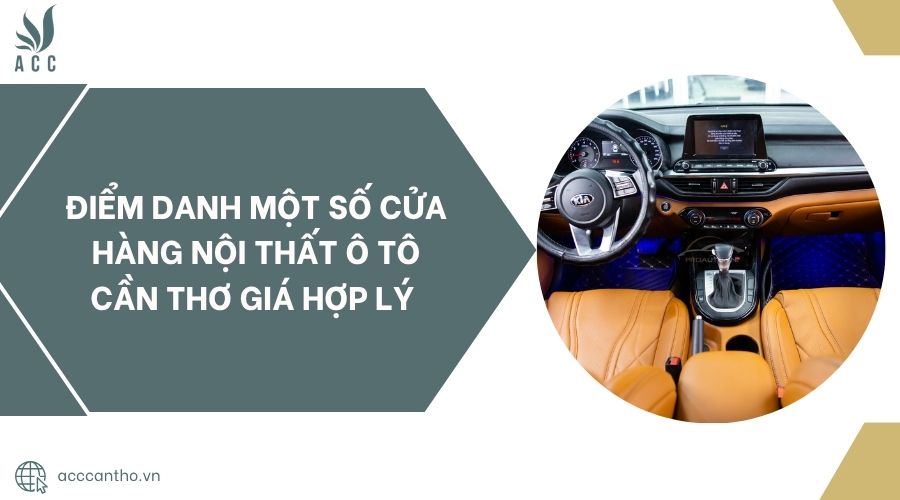 Điểm danh một số cửa hàng nội thất ô tô Cần Thơ giá hợp lý.jpg