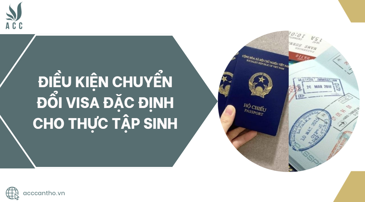Điều kiện chuyển đổi visa đặc định cho thực tập sinh