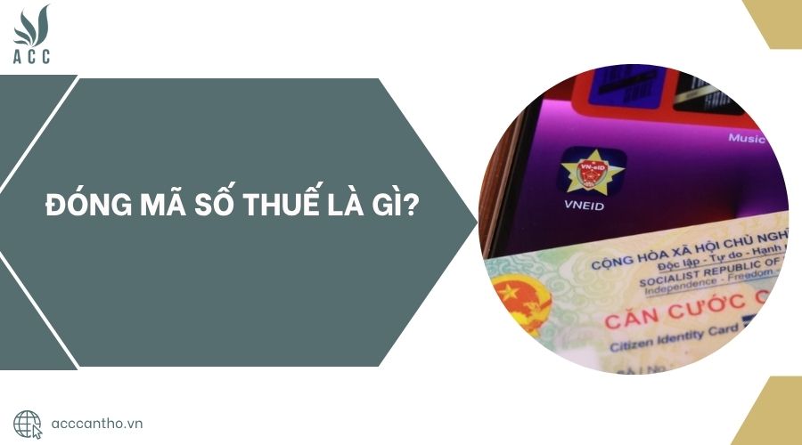 Đóng mã số thuế là gì.jpg