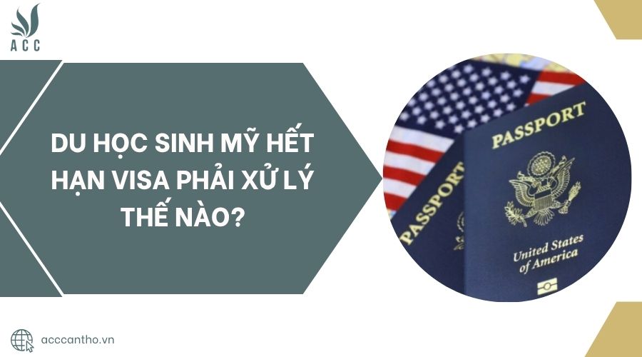 Du học sinh Mỹ hết hạn visa phải xử lý thế nào?.jpg