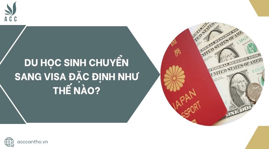 Du học sinh chuyển sang visa đặc định như thế nào?.jpg
