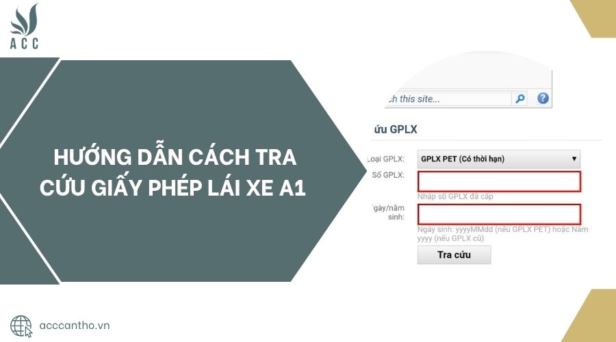 Hướng dẫn cách tra cứu giấy phép lái xe A1.jpg