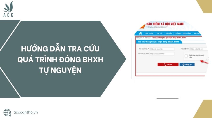 Hướng dẫn tra cứu quá trình đóng bhxh tự nguyện.jpg