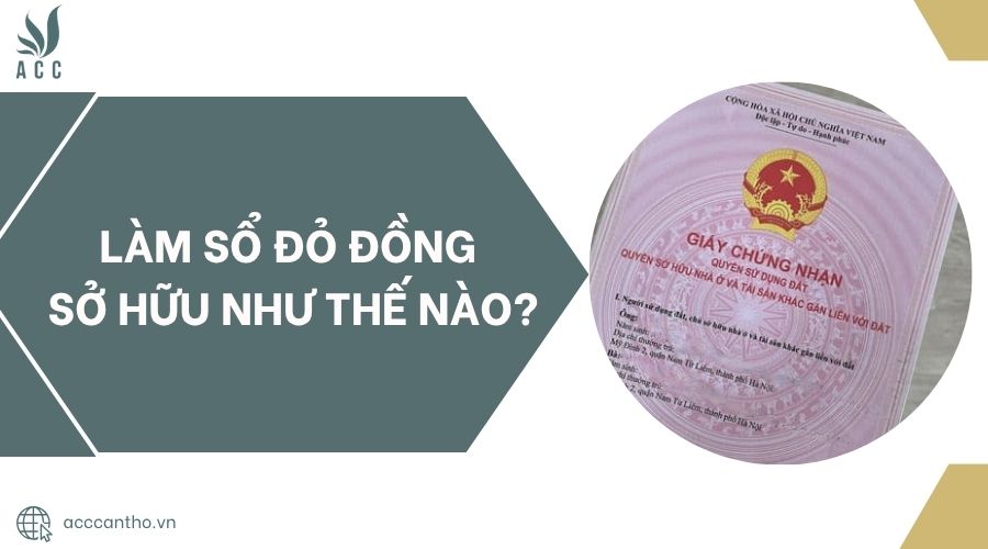 Làm sổ đỏ đồng sở hữu như thế nào?.jpg