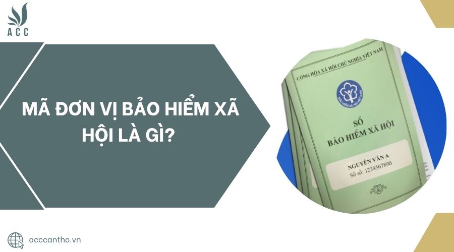 Mã đơn vị bảo hiểm xã hội là gì?
