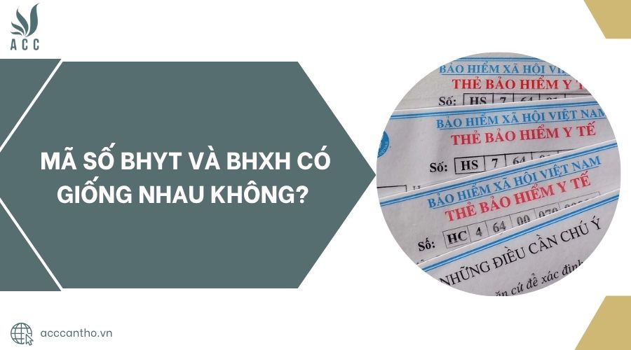 Mã số BHYT và BHXH có giống nhau không?.jpg
