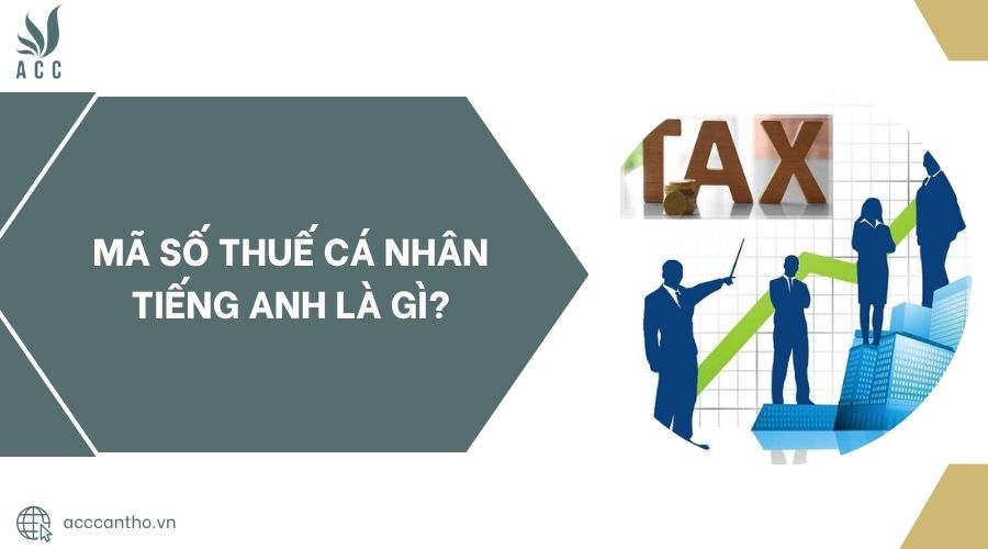 Mã số thuế cá nhân tiếng Anh là gì.jpg