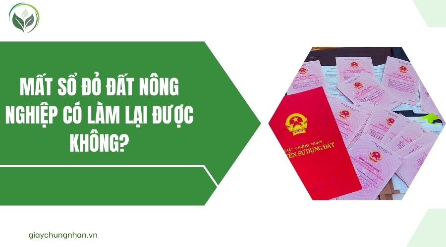 Mất sổ đỏ đất nông nghiệp có làm lại được không?.jpg