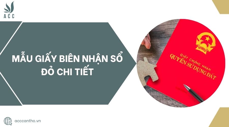 Mẫu giấy biên nhận sổ đỏ chi tiết.jpg