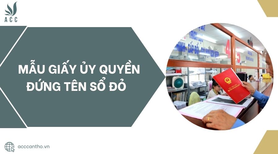 Mẫu giấy ủy quyền đứng tên sổ đỏ.jpg