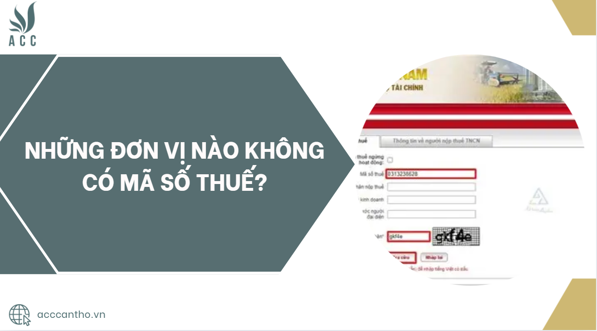 Những đơn vị nào không có mã số thuế?.jpg