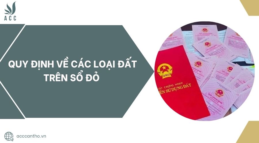 Quy định về các loại đất trên sổ đỏ.jpg