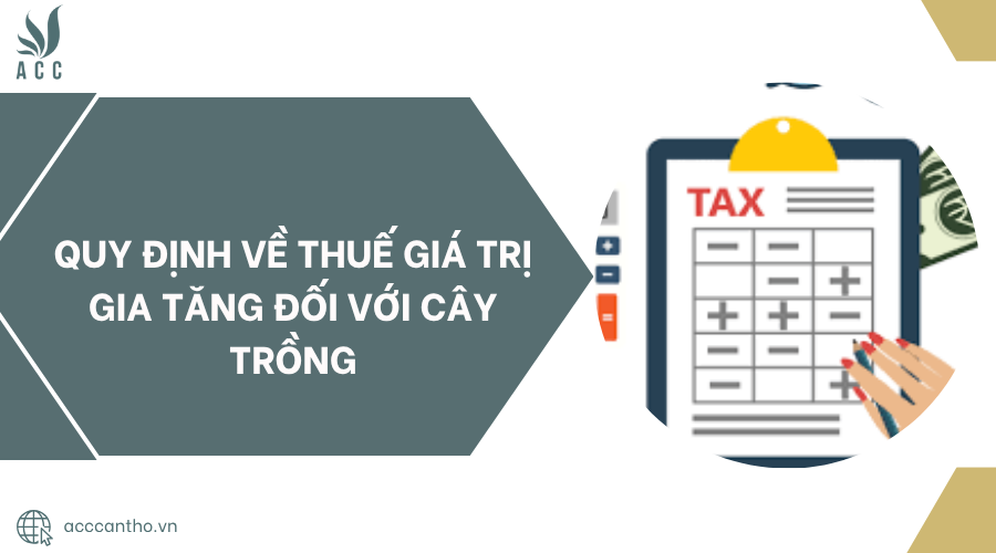 Quy định về thuế gi&aacute; trị gia tăng đối với c&acirc;y trồng.jpg