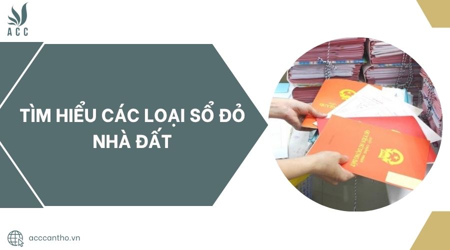 Tìm hiểu các loại sổ đỏ nhà đất.jpg
