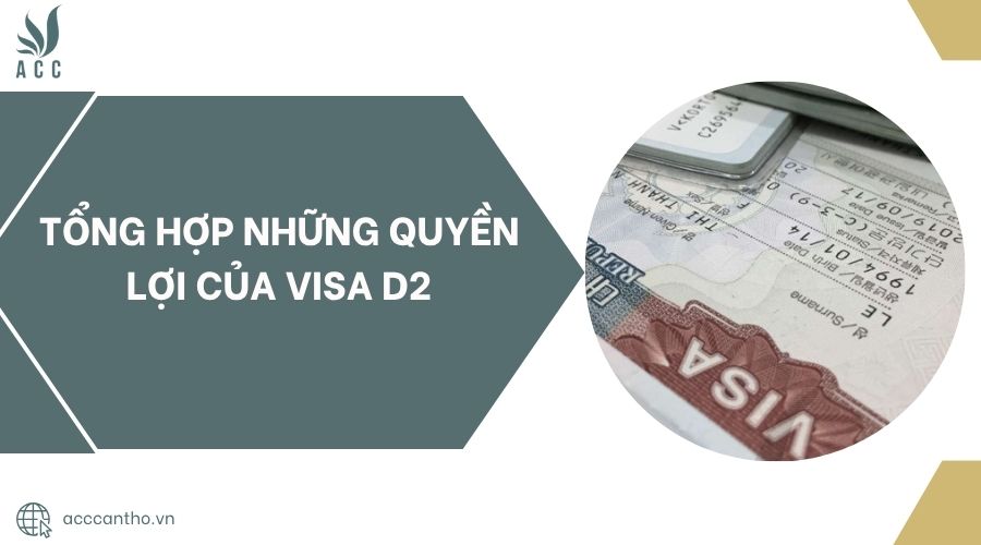 Tổng hợp những quyền lợi của visa D2