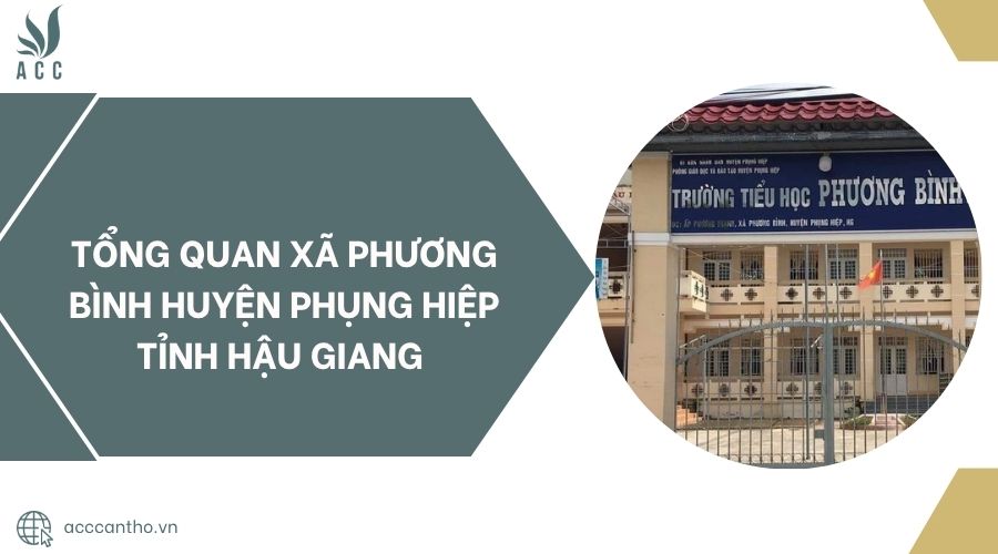 Tổng quan Xã Phương Bình Huyện Phụng Hiệp Tỉnh Hậu Giang