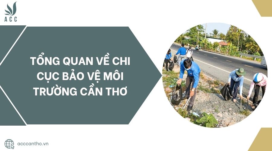 Tổng quan về Chi cục Bảo vệ Môi trường Cần Thơ.jpg