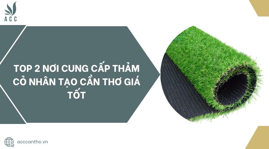 Top 2 nơi cung cấp thảm cỏ nhân tạo Cần Thơ giá tốt.jpg