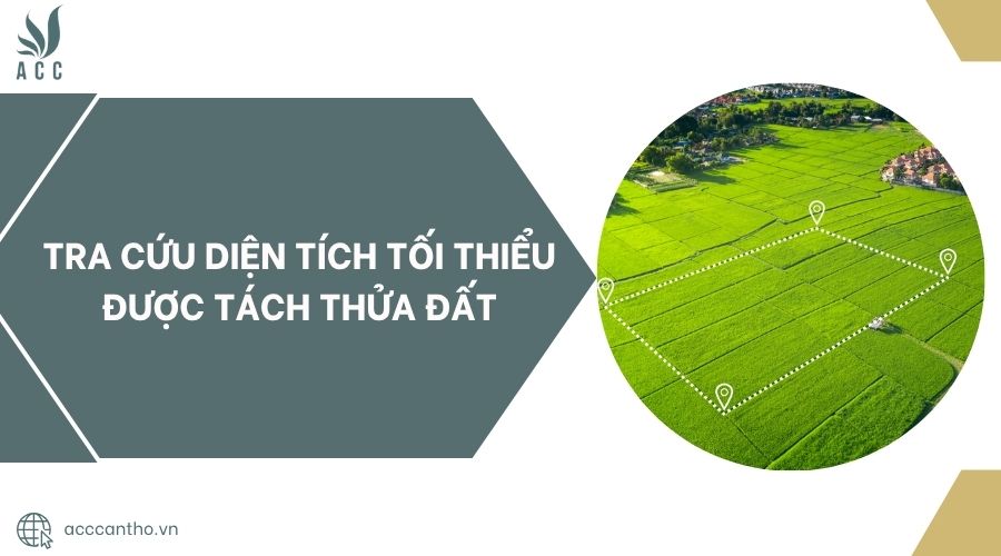 Tra cứu diện tích tối thiểu được tách thửa đất.jpg