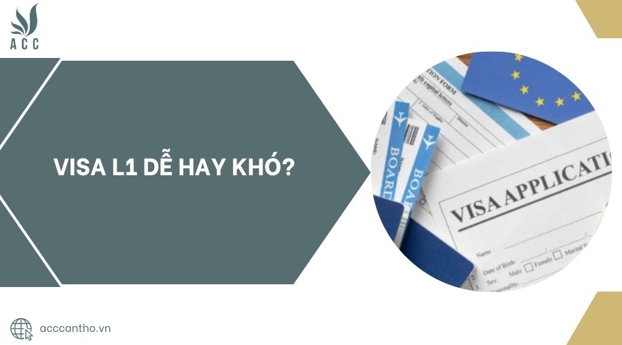 Visa L1 dễ hay khó?.jpg