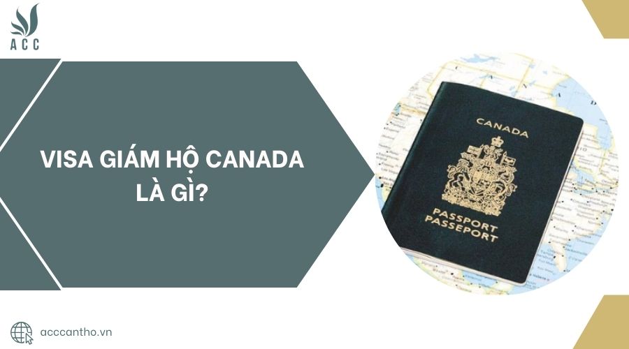 Visa giám hộ Canada là gì?.jpg