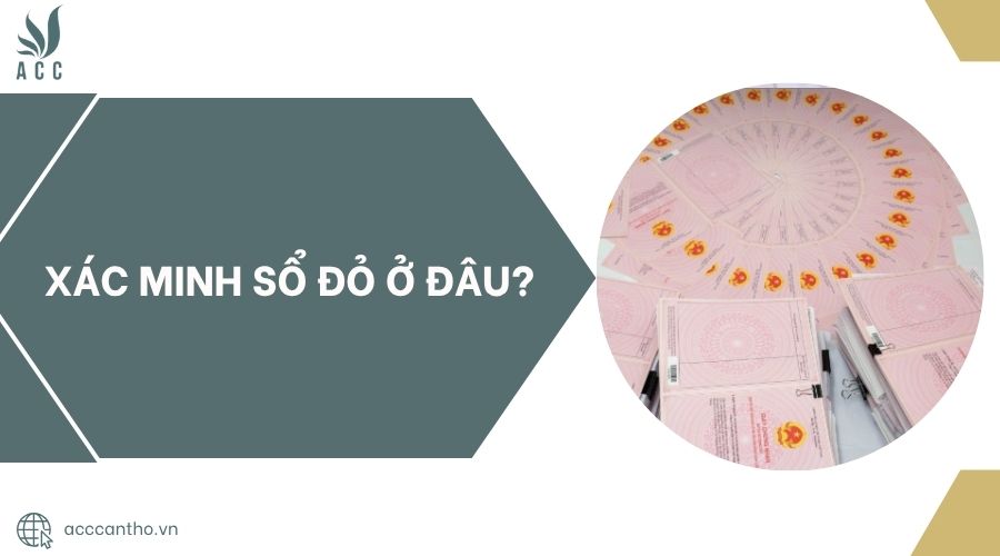 Xác minh sổ đỏ ở đâu?.jpg