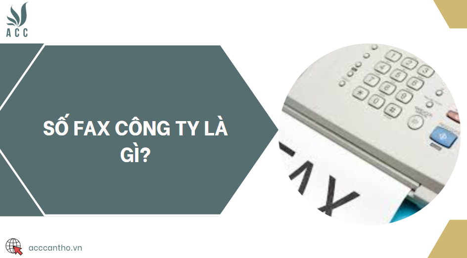 Số fax công ty là gì?