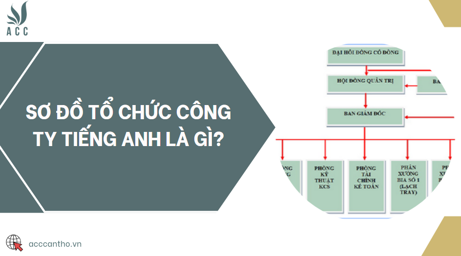 Sơ đồ tổ chức công ty tiếng Anh là gì?