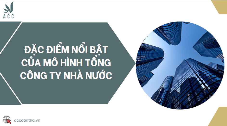Đặc điểm nổi bật của mô hình tổng công ty Nhà Nước