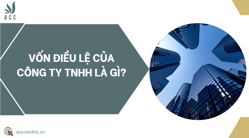 Quy trình quản lý và điều chỉnh vốn điều lệ của công ty TNHH