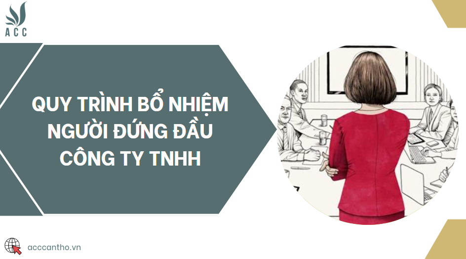 Quy trình bổ nhiệm người đứng đầu công ty TNHH