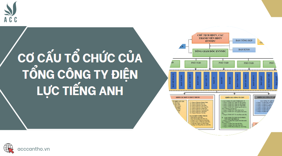 Cơ cấu tổ chức của tổng công ty điện lực tiếng Anh