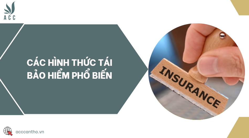 Các hình thức tái bảo hiểm phổ biến