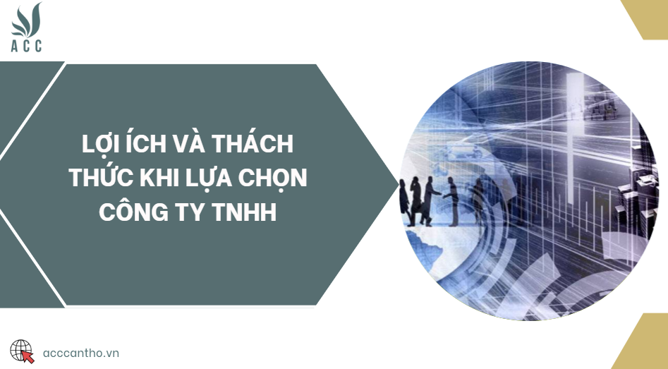 Lợi ích và thách thức khi lựa chọn công ty TNHH