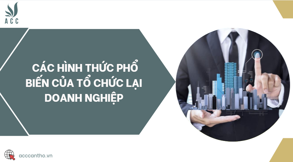 Các hình thức phổ biến của tổ chức lại doanh nghiệp
