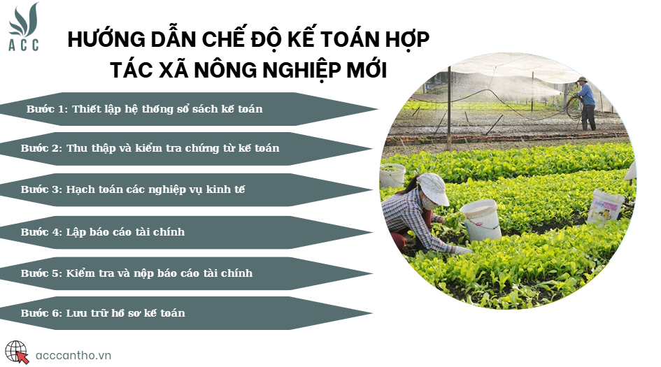 Hướng dẫn chế độ kế toán hợp tác xã nông nghiệp mới