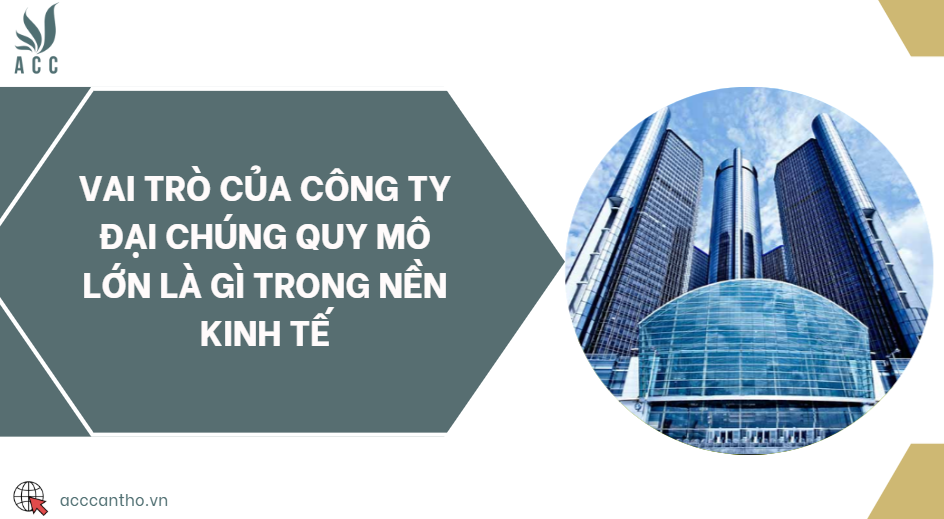 Vai trò của công ty đại chúng quy mô lớn là gì trong nền kinh tế