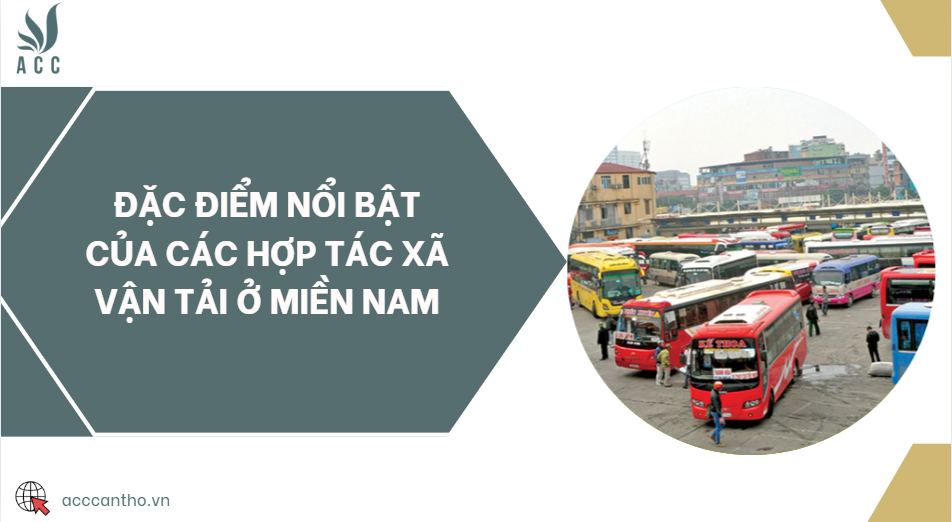 Đặc điểm nổi bật của các hợp tác xã vận tải ở miền Nam