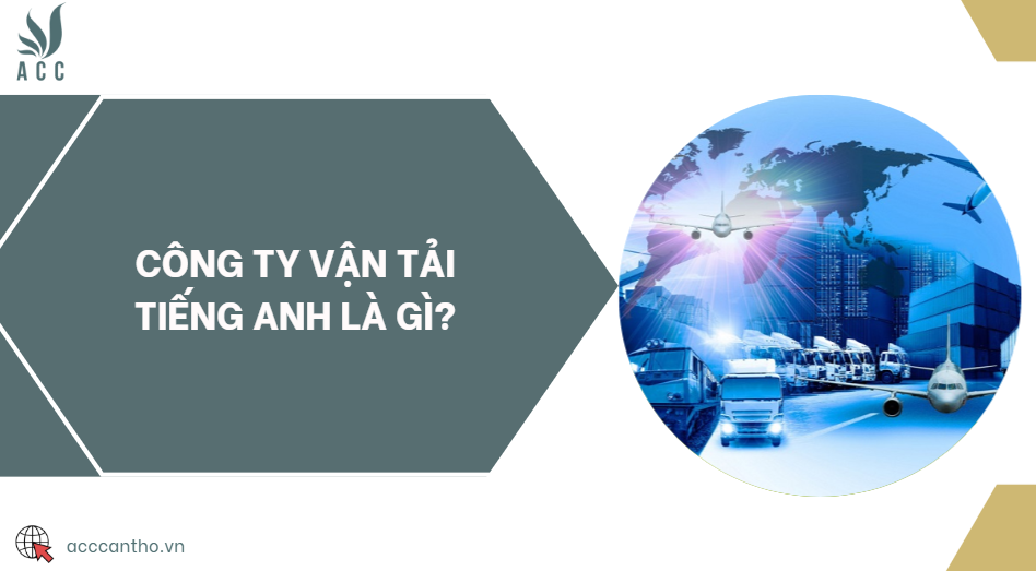 Công ty vận tải tiếng Anh là gì?