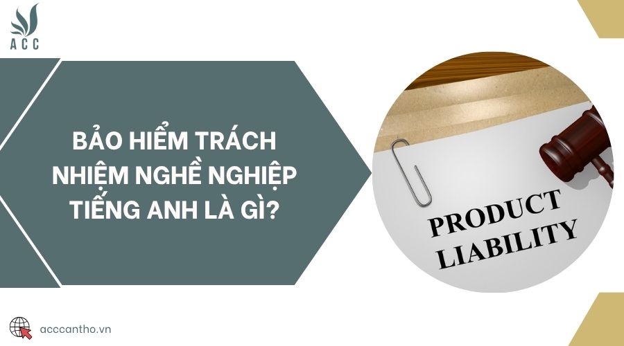 Bảo hiểm trách nhiệm fv888 tiếng anh là gì?