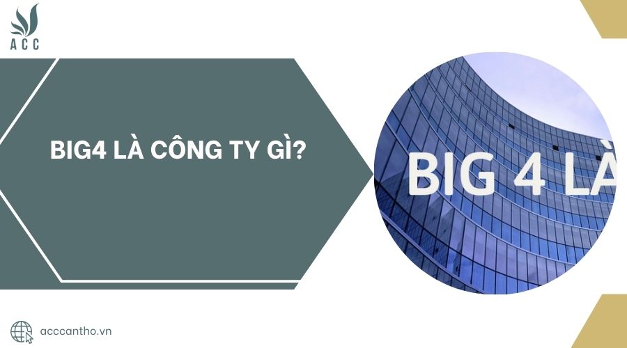 Big4 là công ty gì?