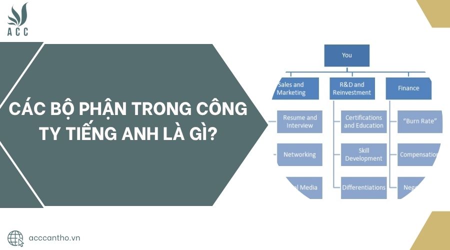 Các bộ phận trong công ty tiếng Anh là gì?