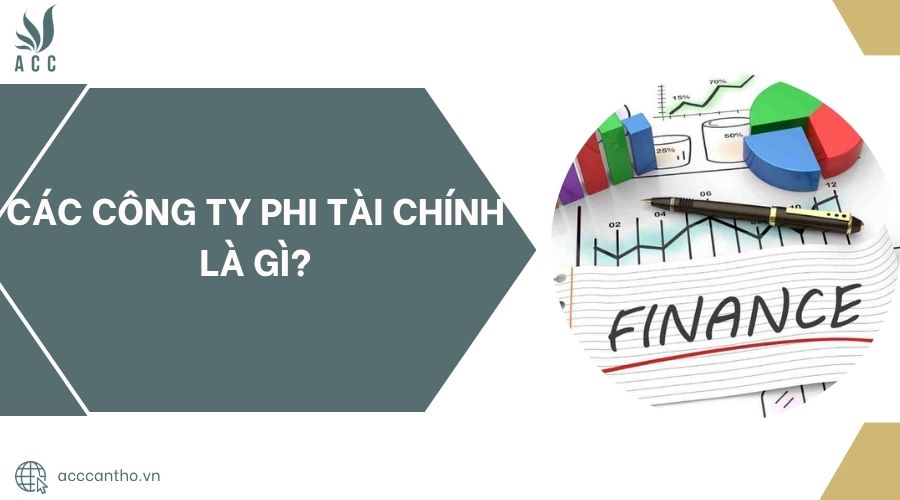 Các công ty phi tài chính là gì?