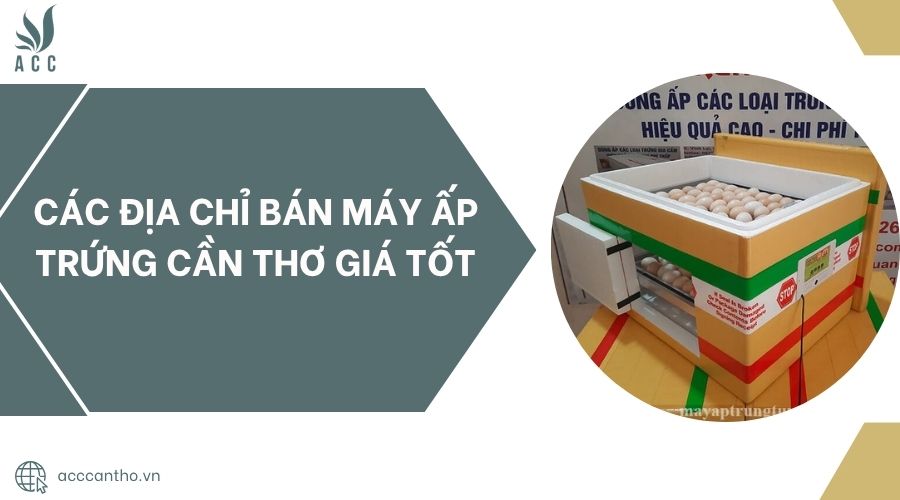 Các địa chỉ bán máy ấp trứng Cần Thơ giá tốt
