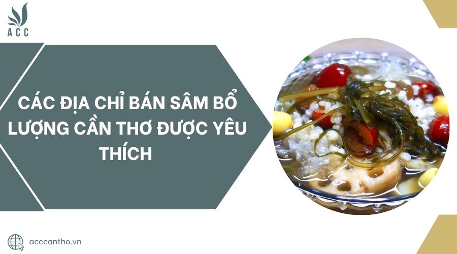 Các địa chỉ bán sâm bổ lượng Cần Thơ được yêu thích